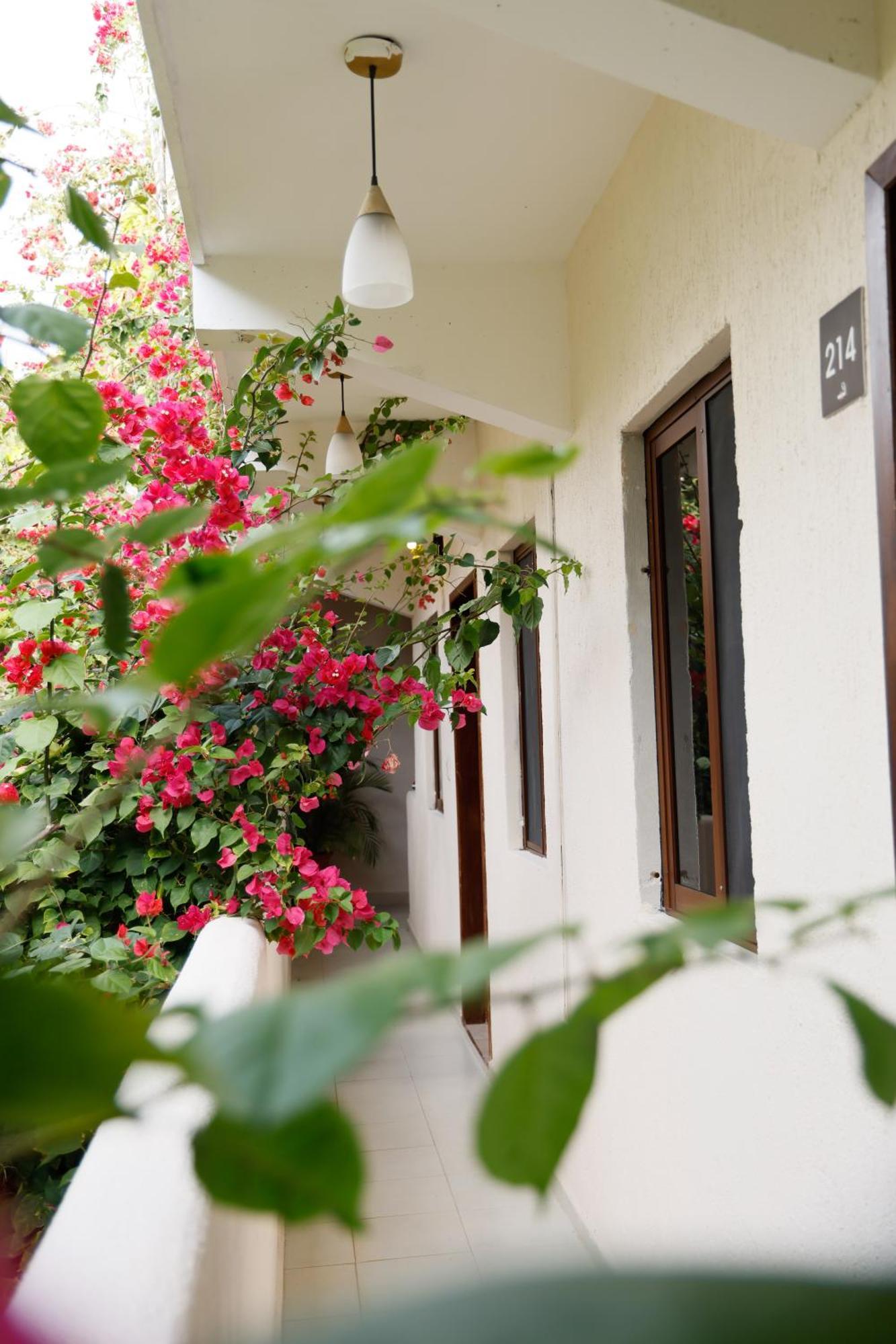 Hotel Hulku Playa del Carmen Zimmer foto